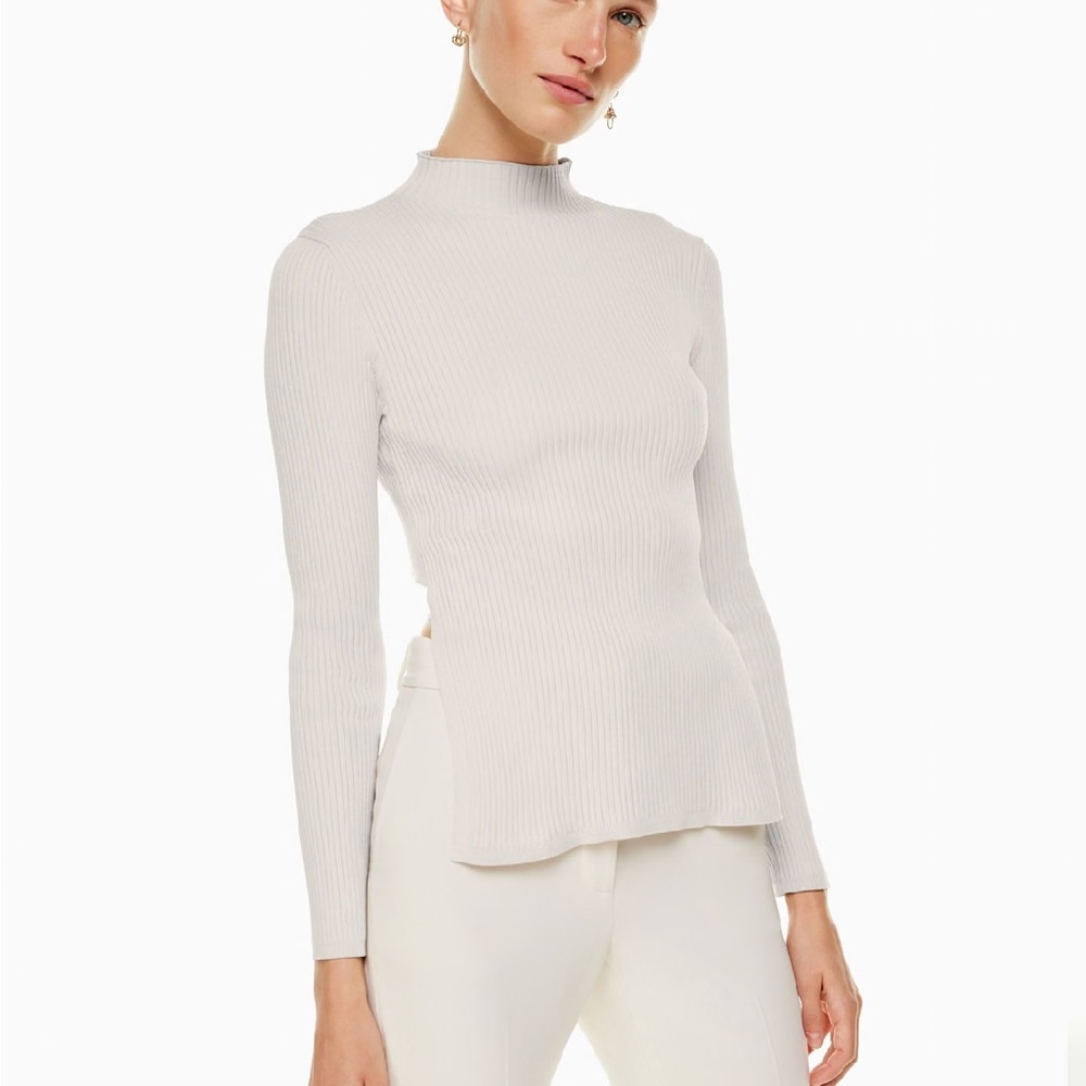 Aritzia Sculpt Knit Backless Turtleneck Sweater